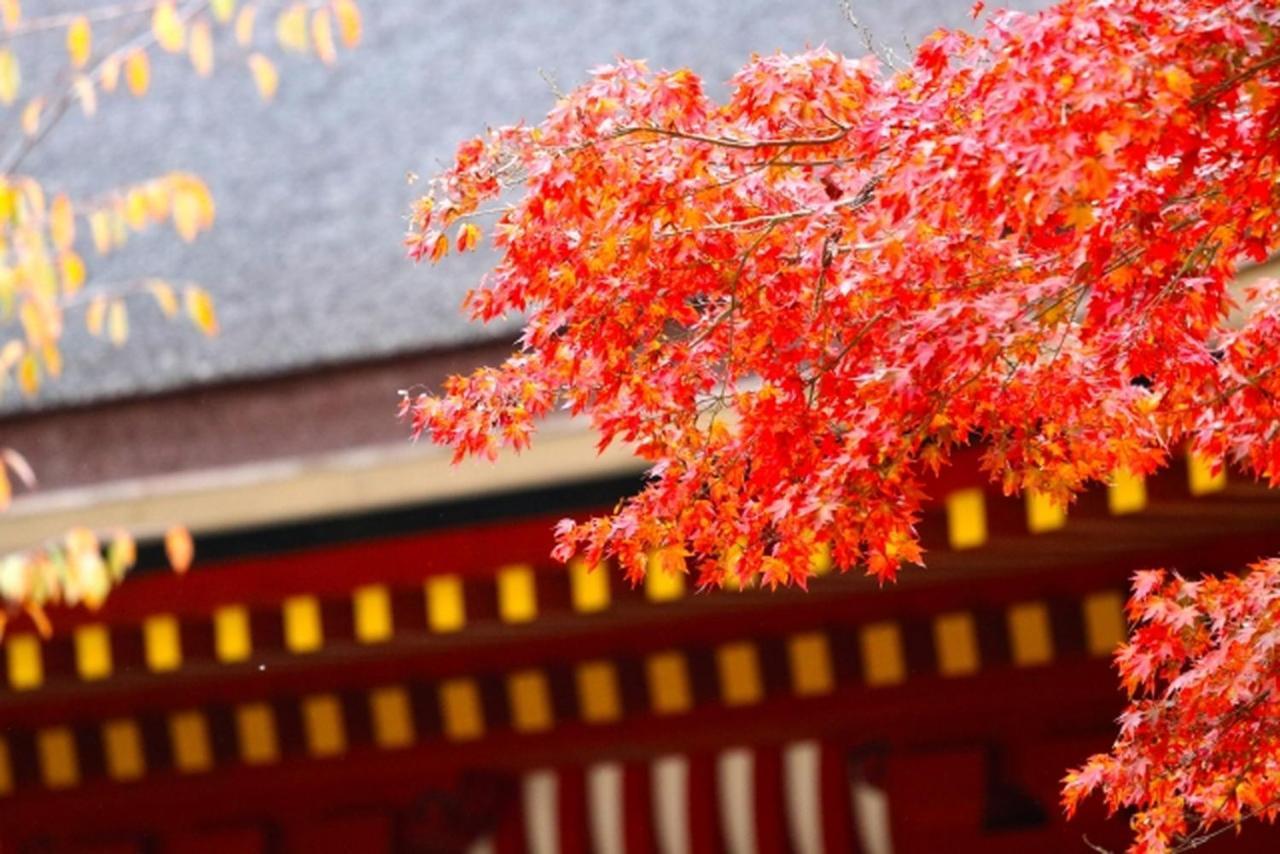 Stay Sakura Kyoto Kiyomizu Ougi Exterior photo